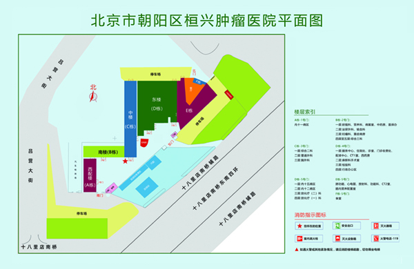 日逼内射视频北京市朝阳区桓兴肿瘤医院平面图